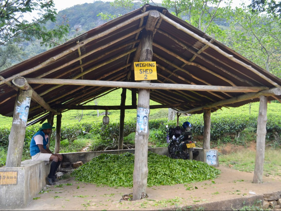 Foto van een weerstation in een theetuin in Sri Lanka